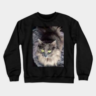 Stunning gray green eyed cat Crewneck Sweatshirt